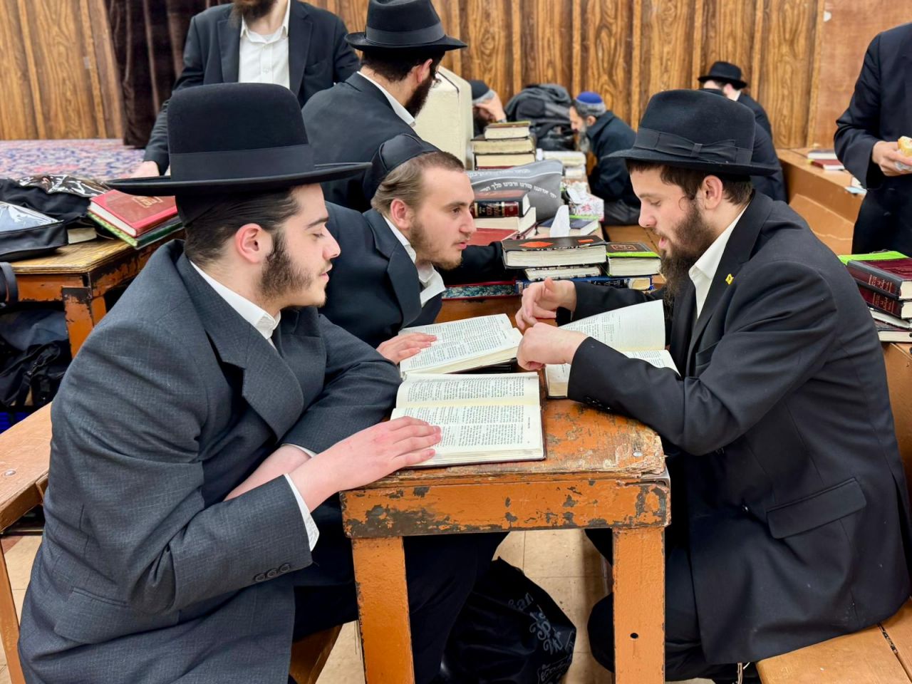 הגלריה השבועית - שבוע פרשת אמור ב-770